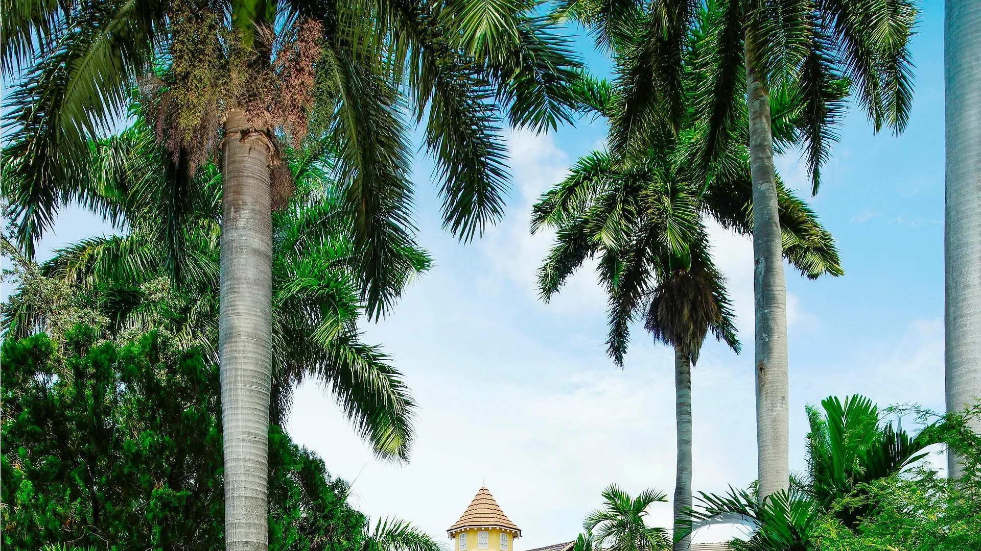 Seagarden Beach Resort Montego Bay