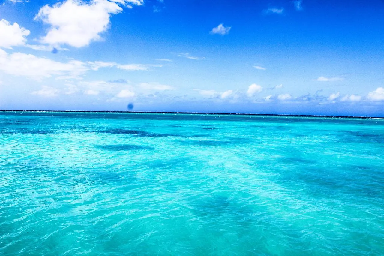 Seagarden Beach Resort Montego Bay 3*,